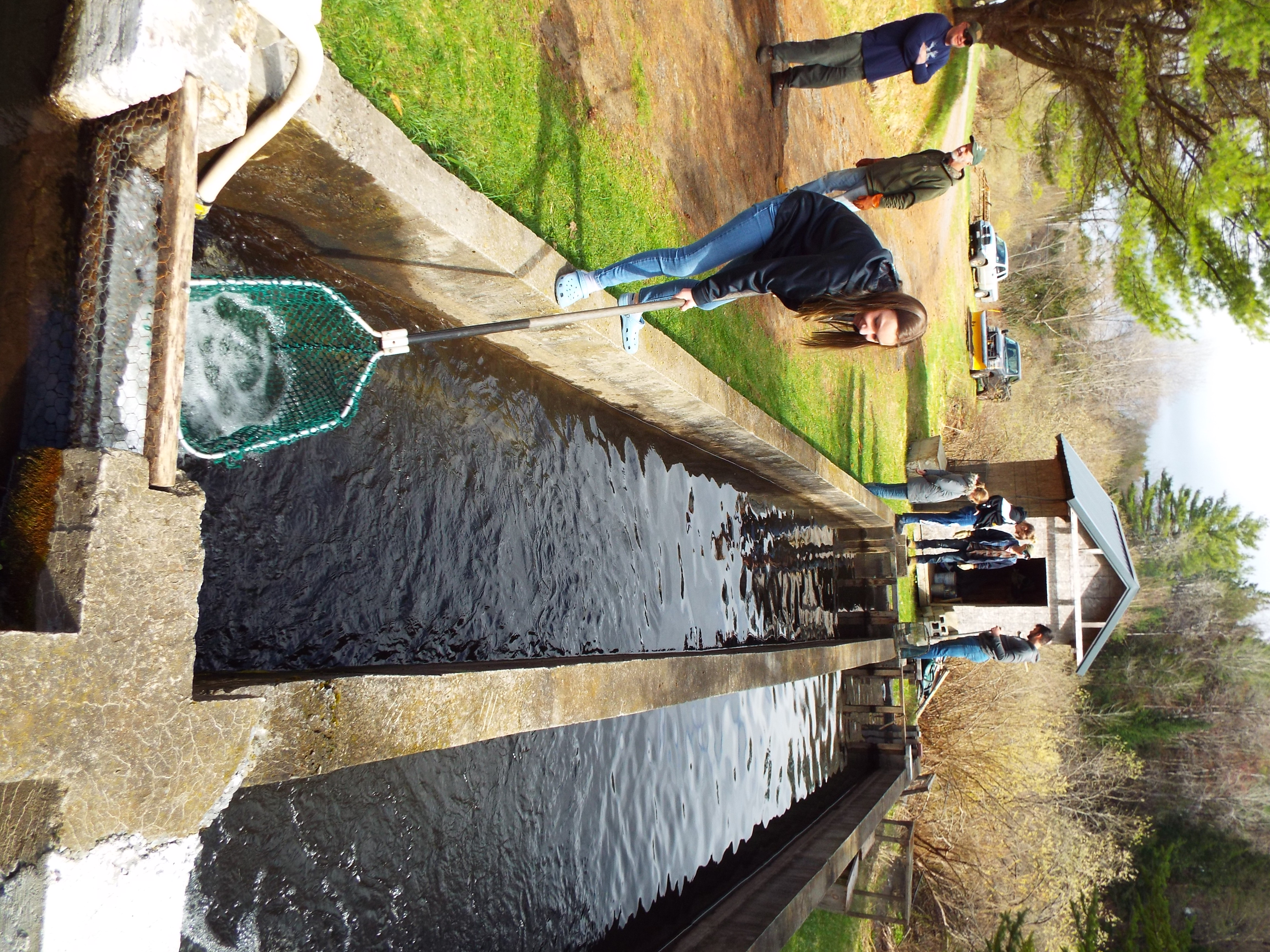 Hatchery