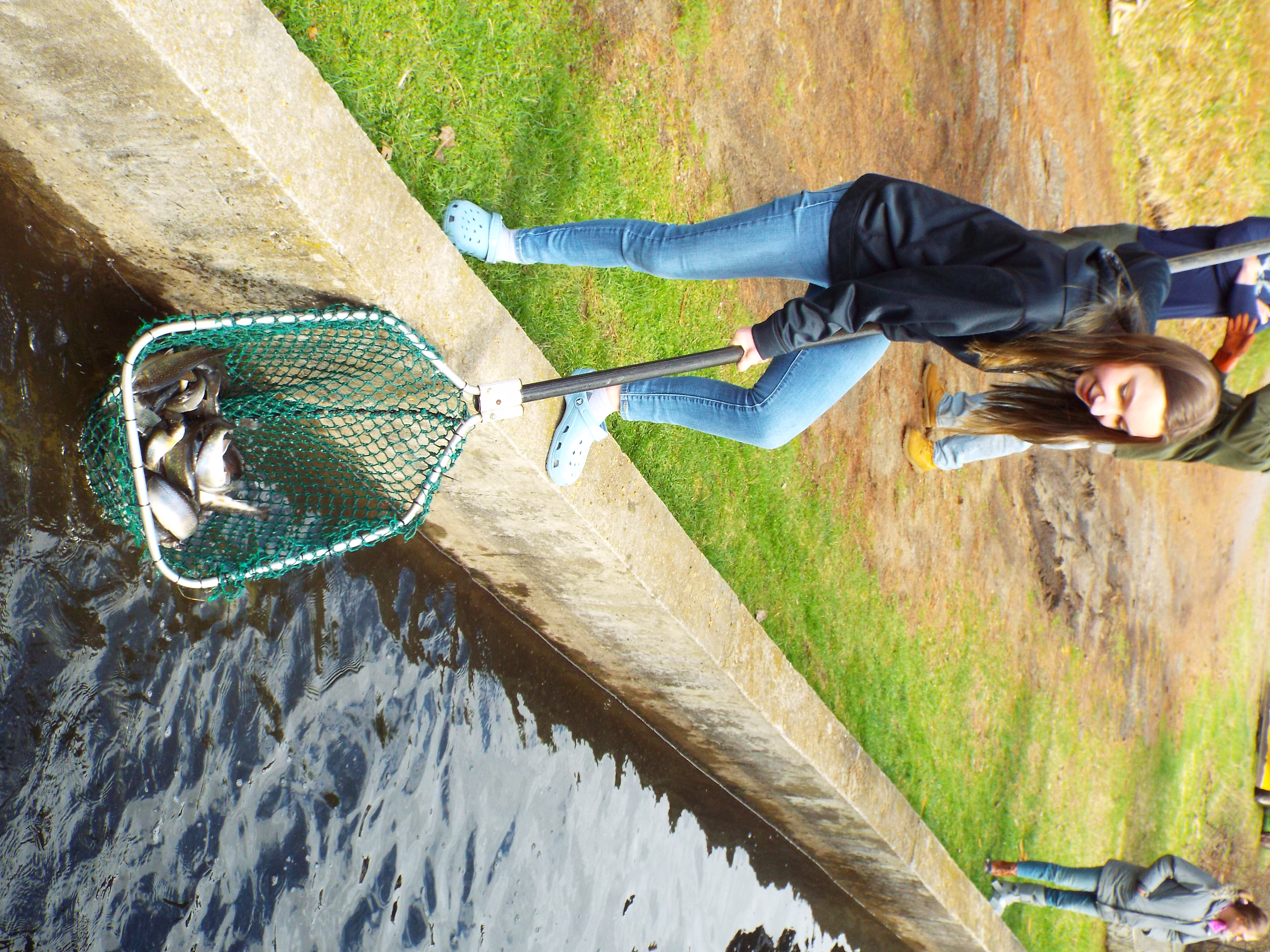 Hatchery